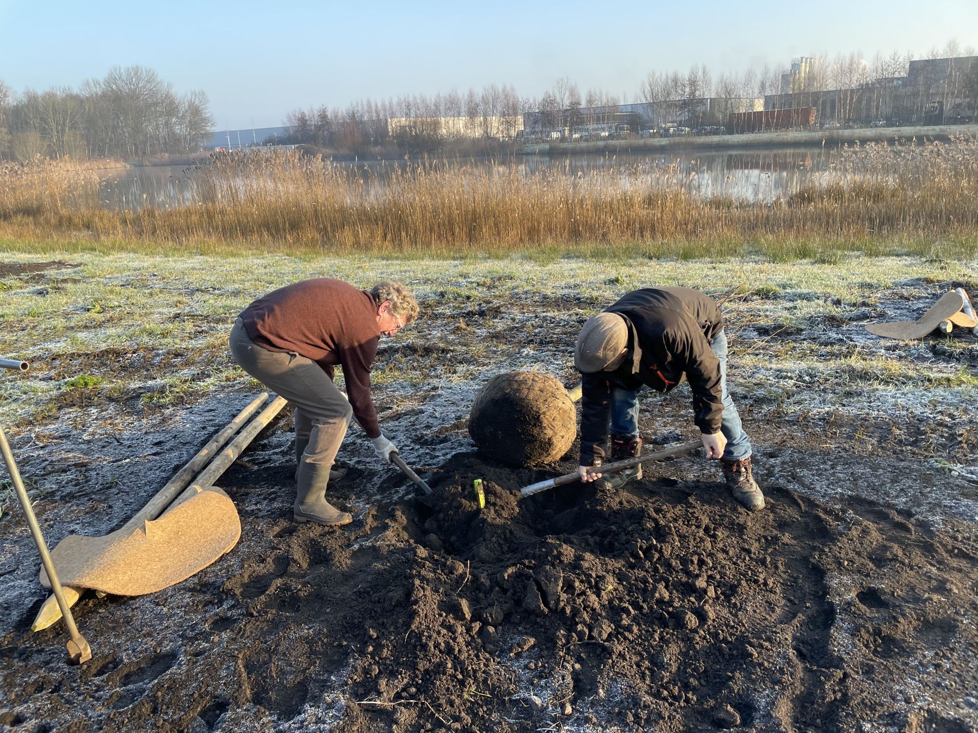 Bomen planten