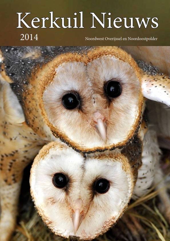 kerkuilen nieuws cover