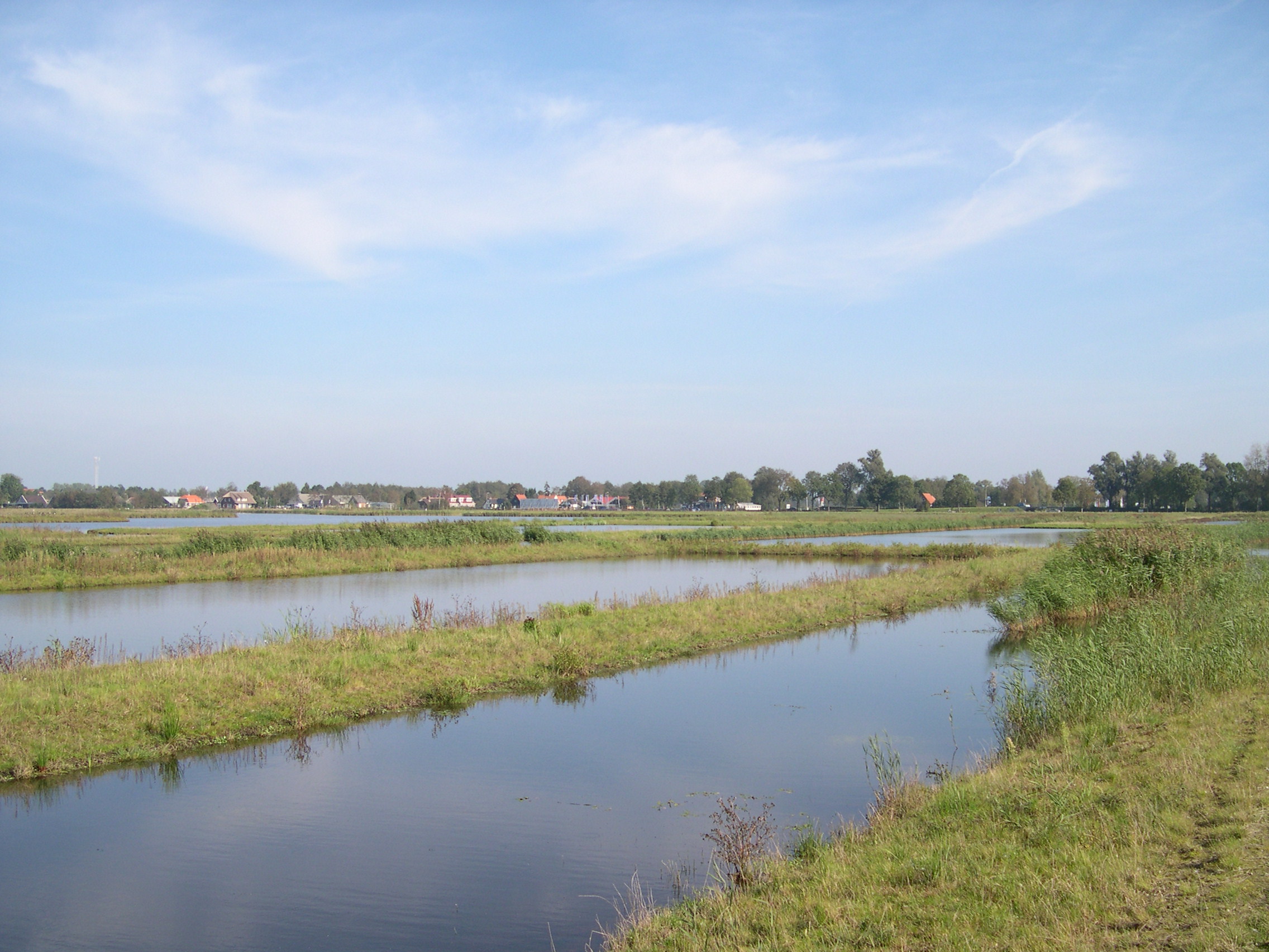 Nieuw vogelgebied